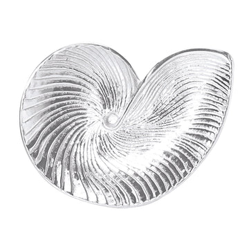 Nautilus Shell Platter