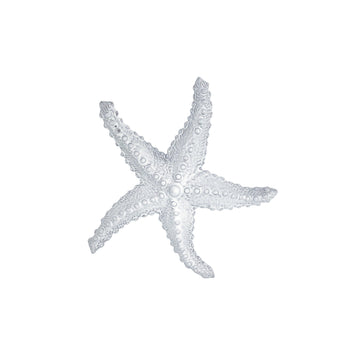 Large Bead Ceramic Decorative Sea Star | Mariposa